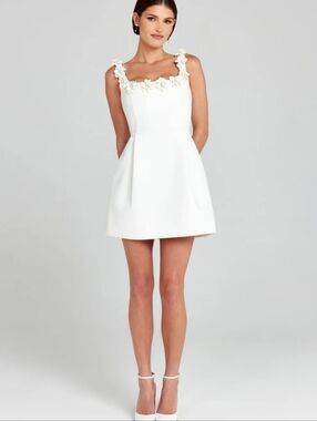 NEW Nadine Merabi Cindy Dress